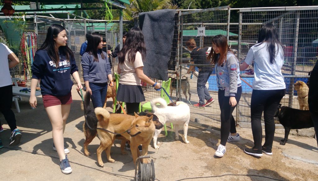 A Dog Kennel Visit (11032018) SCI/NUCLEUS Social Service Team